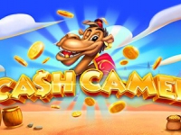 Cash Camel