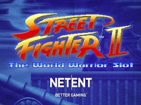 Street Fighter 2: The World Warrior