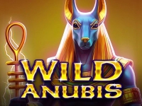 Wild Anubis